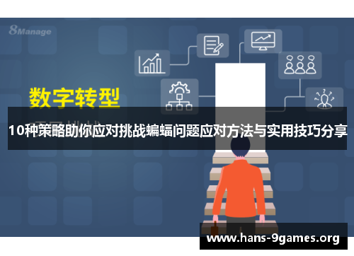 10种策略助你应对挑战蝙蝠问题应对方法与实用技巧分享